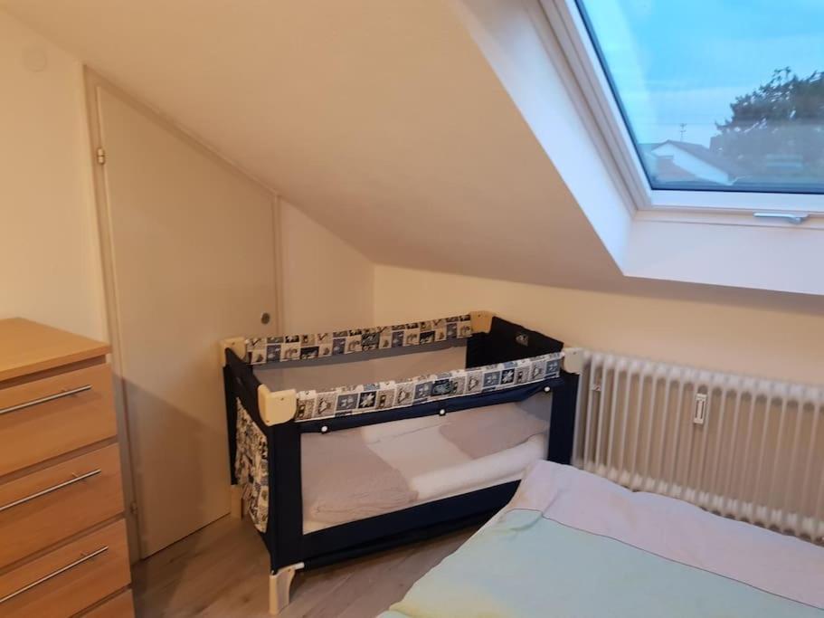 Gemuetliche Wohnung Bei Bad Waldsee Mit Balkon Εξωτερικό φωτογραφία
