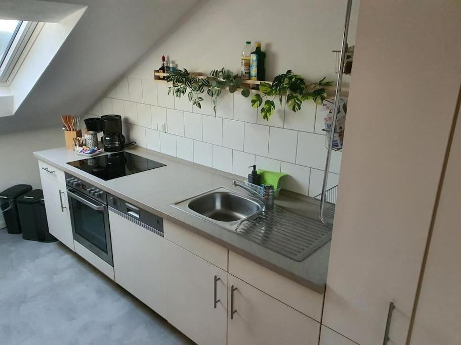 Gemuetliche Wohnung Bei Bad Waldsee Mit Balkon Εξωτερικό φωτογραφία