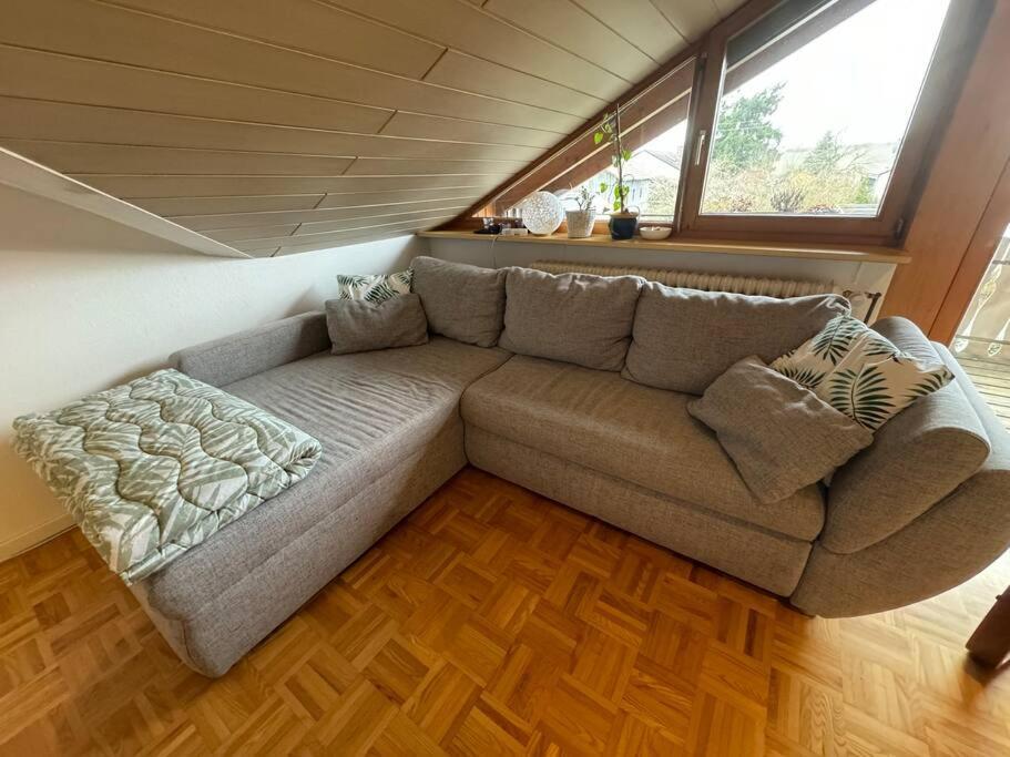 Gemuetliche Wohnung Bei Bad Waldsee Mit Balkon Εξωτερικό φωτογραφία
